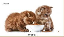 Cat Food Market Projected to Grow at a CAGR of 2.6% During 2018-2023 - Super Market Research