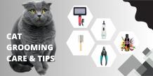 Cat Owners Must Know These Cat Grooming Tips