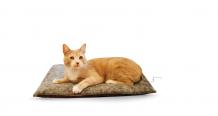 Sentry Fireguard For Cats
