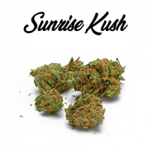 CBD Blueten Sunrise Kush - CBD Shop Schweiz - CBDBro.ch