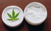 CBD Cream Ingredients That Can Actually Heal Your Skin