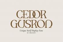 Cedor Gusron Font Free Download Similar | FreeFontify