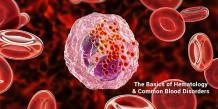 The Basics of Hematology &amp; Common Blood Disorders | Onco Life Hospital