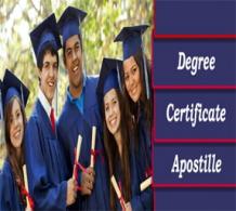 Degree Certificate Apostille | Apostille Attestation- Yashvi translation