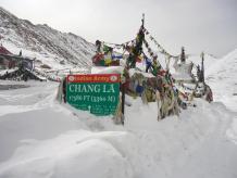 Chang la Pass in Ladakh Trip NatureWings