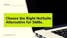 NetSuite Alternative for SMBs