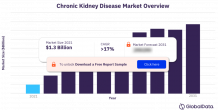  Chronic Kidney Disease Market Size and Trend Report including Epidemiology and Pipeline Analysis, Competitor Assessment, Unmet Needs, Clinical Trial Strategies and Forecast, 2021-2031 - Market Research Reports &amp; Consulting | GlobalData UK Ltd.  