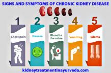 Chronic Kidney Disease Treatment in Ayurveda