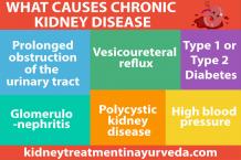 What Causes Chronic Kidney Disease ? - Dr. Puneet Dhawan