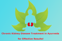 Chronic Kidney Disease Treatment in Ayurveda for Effective Results