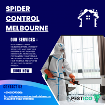 Spider Control Melbourne