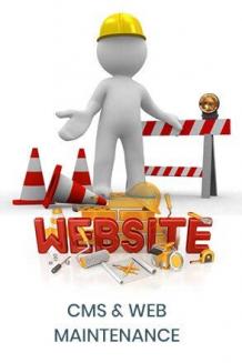 Web Marketing Agency | Best SEO Company in India - Web Crayons