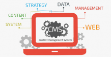 Best CMS Web Design Company in Dehradun | Content Management