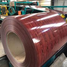 Prepainted Galvalume Steel Coil (PPGL)