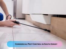 The Benefits of Hiring Commercial Pest Control Service Providers in South Jersey &#8211; Pest Management Services