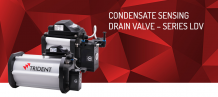 Automatic drain valve