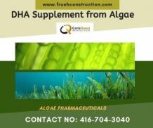 DHA Supplement from Algae — ImgBB