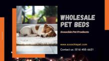 Buy Pet Products at a Wholesale Rate