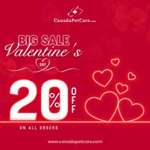 Valentine's Sale