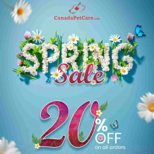 Spring Sale 