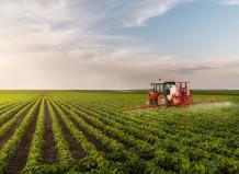 Crop Insurance - Broken Spoke Insurance