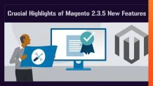 Crucial Highlights of Magento 2.3.5 New Features - Atharva System : powered by Doodlekit