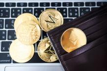 The 5 Safest Crypto Wallet for Beginners in 2023 - Updated Planet