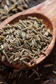 Cumin Seeds Manufacturer, Exporter, Supplier in Surat, Gujarat India