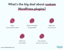 custom-wordpress-plugins-advantages