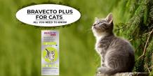 CanadaVetCare catshealth catcare BravectoPlus parasiteprevention fleaandtickoncats