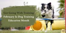 Build Your Bond Strong this Dog Training Education Month with Canadvetcare