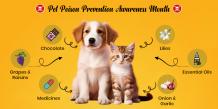 Pet Poison Prevention Awareness