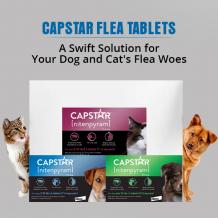 Capstar for Dogs and Cats
