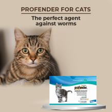Profender For Cat