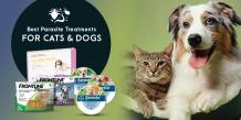 Best Parasite Treatments for Cats &amp; Dogs - CanadaVetExpress - Pet Care Tips