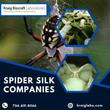 Spider Silk Companies