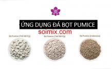 Đá bọt là gì? cách sử dụng đá bọt trong đất
