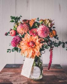 Grow gorgeous Dahlias with these tips for A+ home decor (Buy now!) | Building and Interiors