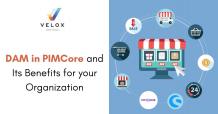 DAM in PIMCore and Its Benefits for your Organization - Velox Softech Pim Solutions
