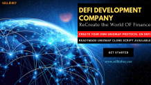 DeFi Development Company