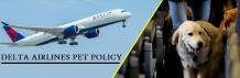 Delta Airlines Pet Policy: Reservation Number, Cargo Fees