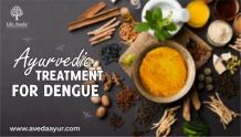 Ayurvedic Treatment for Dengue Fever - Dengue Treatment