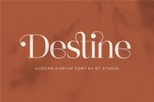 Destine Font Free Download OTF TTF | DLFreeFont