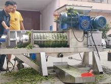 Sawdust Dewatering Machine in Wood Processing Industry