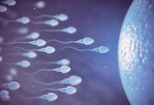 Difference Between Azoospermia and Oligospermia