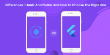 Differences in Iconic and Flutter and How to Choose the Right One
