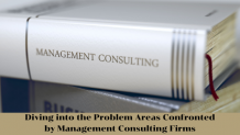 Diving into the Problem Areas Confronted by Management Consulting Firms