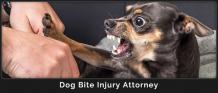 Dog Bite Lawyer and Animal Attacks | Dog Bite Injury Attorney