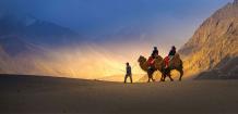 Double Hump Camel Safari in Ladakh Tour from Kolkata with Naturewings