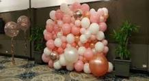 Buy Organic Balloon in Gold Coast